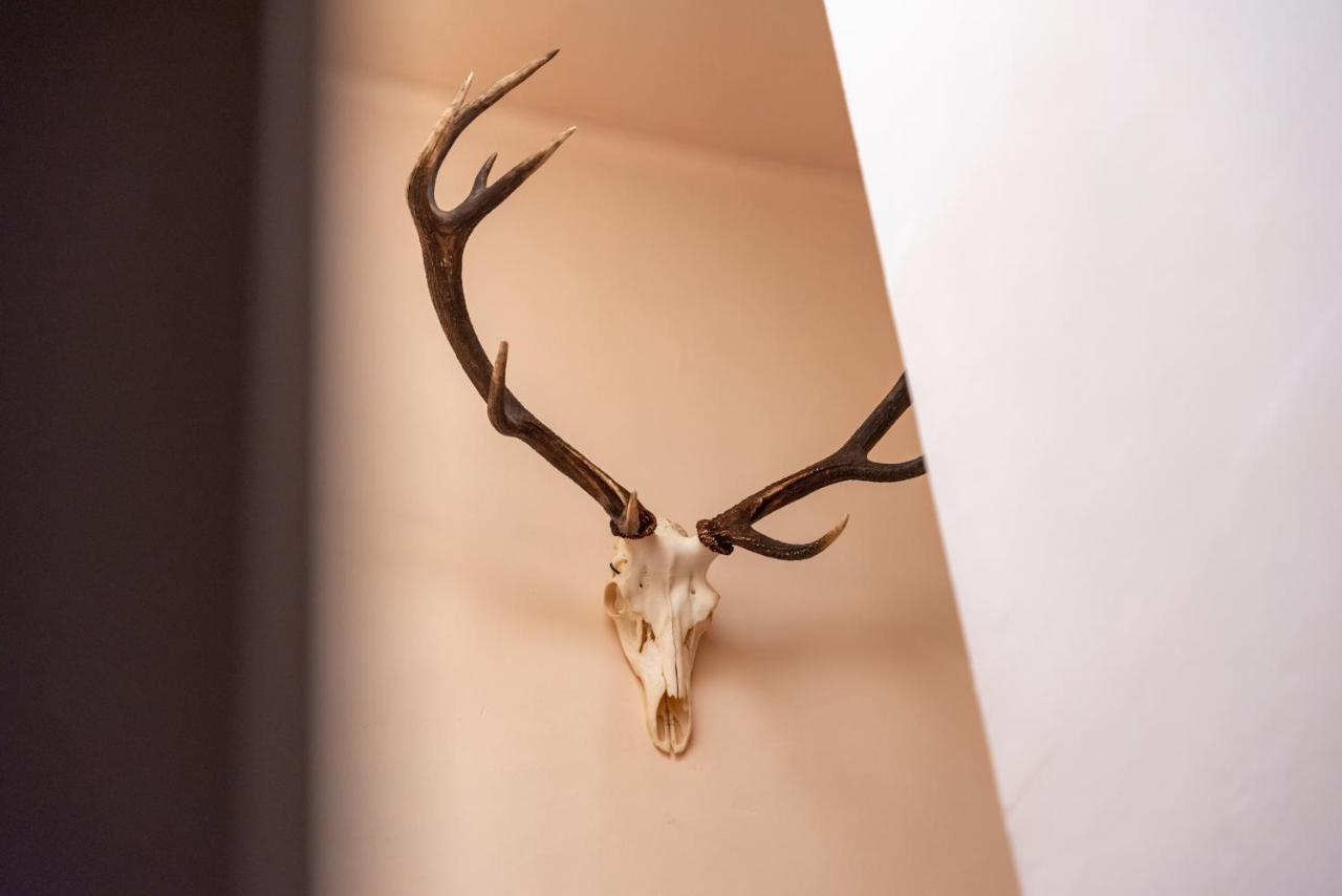 Hotel Le Cor De Chasse Saint-Hubert Εξωτερικό φωτογραφία
